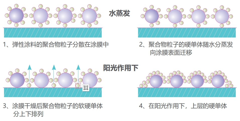 图片11.jpg